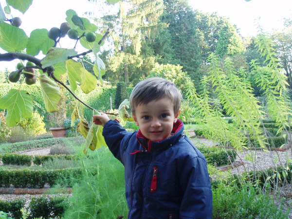 Baby Daniel Alestrand in a garden